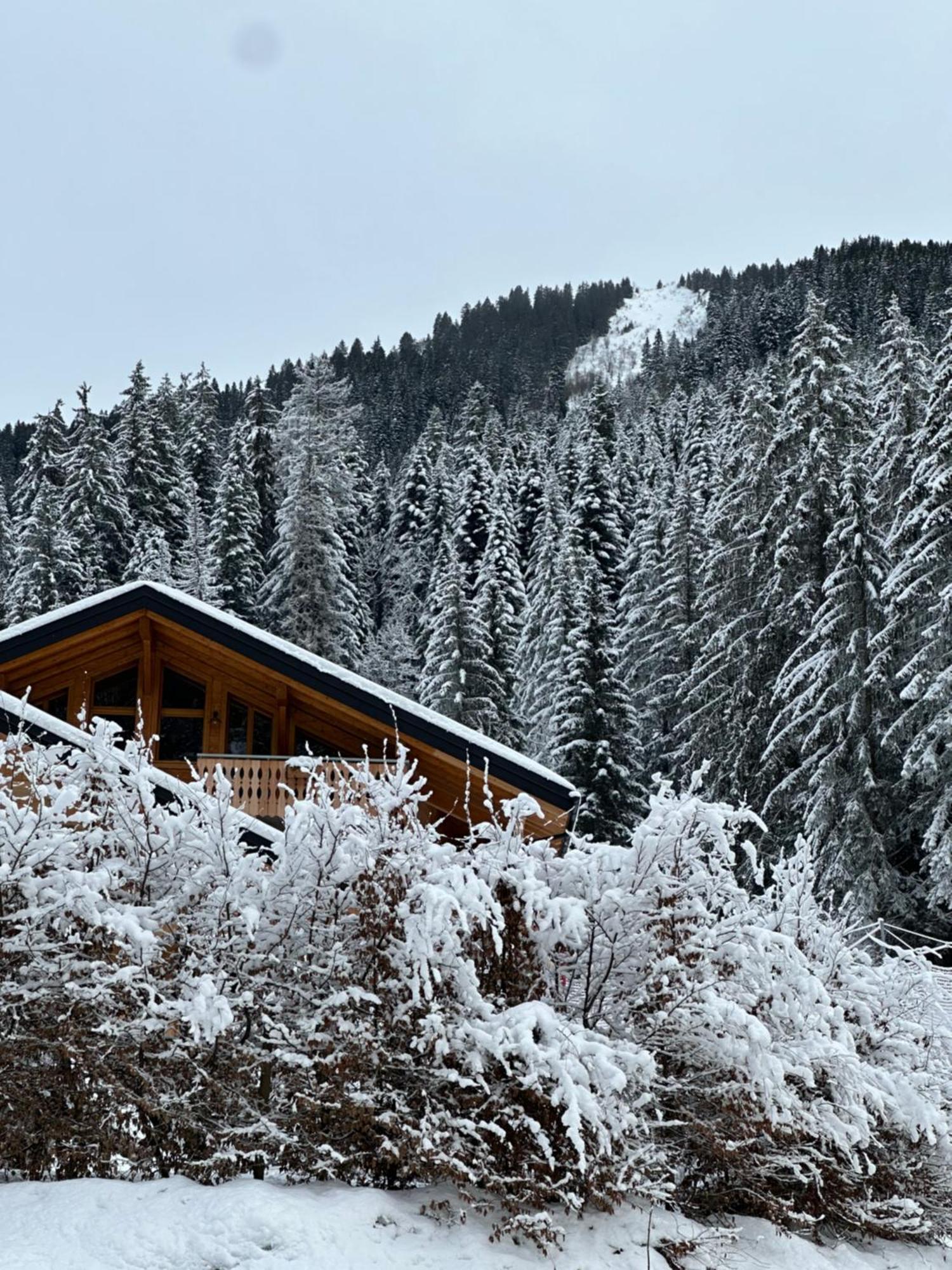 La Rose Des Neiges A Chatel Luaran gambar